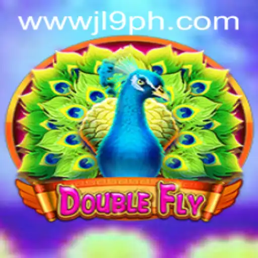 Exploring the Thrilling World of DoubleFly